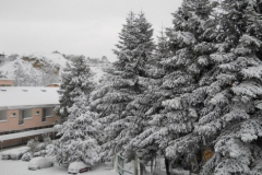 Scorci di Stigliano sotto la neve 09 feb 12